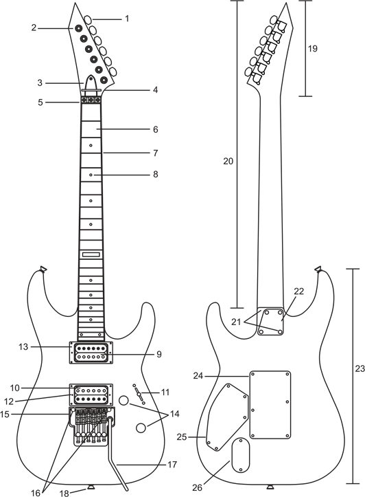 ANATOM&Iacute;A DE LA GUITARRA