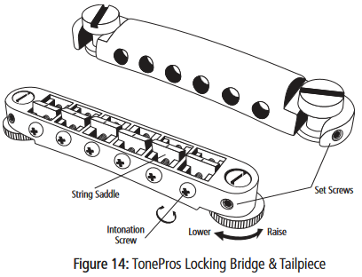 Puente y cordal de bloqueo TonePros