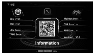 Informaci&oacute;n del veh&iacute;culo 