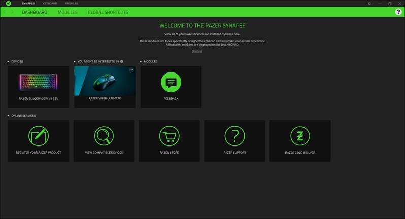CONFIGURACI&Oacute;N - PESTA&Ntilde;A SYNAPSE - Panel de control