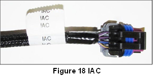 Control de aire en ralent&iacute; (IAC) 