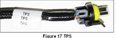 Sensor de posici&oacute;n del acelerador (TPS) 