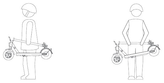 Transporte