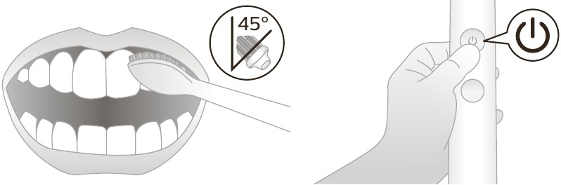 Uso: instrucciones de cepillado, paso 2
