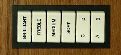 PANEL DE CONTROL: PESTA&Ntilde;AS DE CLAVI