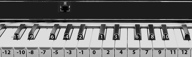 PANEL DE CONTROL: TRANSPOSICI&Oacute;N