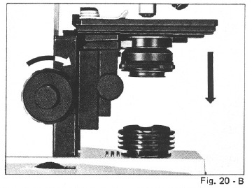 OBSERVACI&Oacute;N - Paso 7