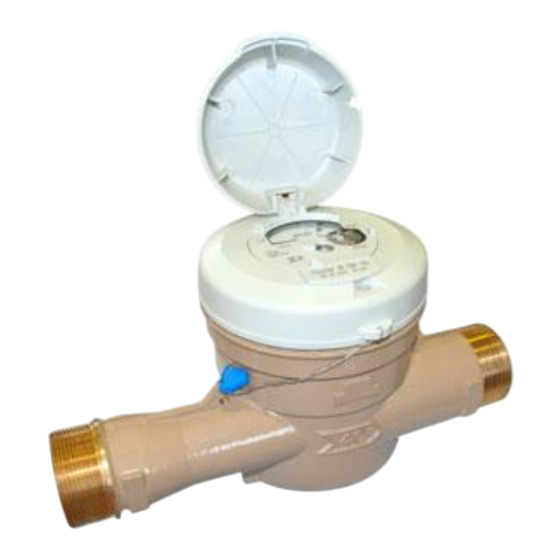 ITRON FLOSTAR Instrucciones Para La Instalación