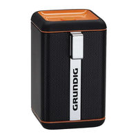 Grundig BLUEBEAT GSB 110 Guia De Inicio Rapido
