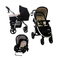 Cochecitos de Bebés asalvo TRIO ROMA Manual De Instrucciones