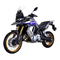 Motocicletas VOGE 900DSX Manual Del Propietário