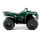 Yamaha BRUIN 350
