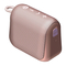 Manual de Raycon The Everyday Speaker RBS920