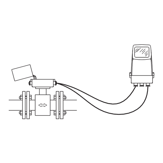 Siemens SITRANS F M Manual De Instrucciones
