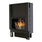 Chimeneas de Interior Italiana Camini IC TEKNO 1 Instalación Uso Y Mantenimiento