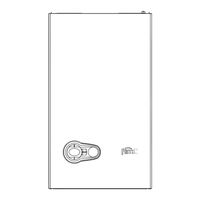 Ferroli BLUEHELIX PRO S 25C Instrucciones De Uso