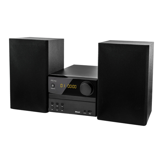 Peaq PMS210BT-B Manual De Instrucciones