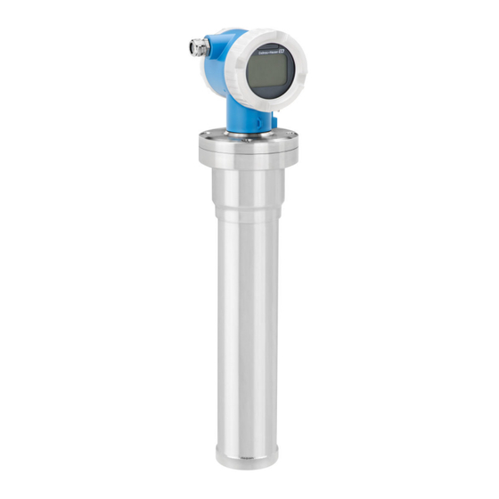 Endress+Hauser Gammapilot FMG50 Manual De Instrucciones