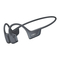 Manual de SHOKZ OPENRUN PRO 2