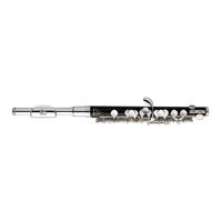 Yamaha Flute Manual De Instrucciones