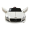 Pekecars BENTLEY EXP12