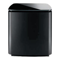 Bose ACOUSTIMASS 300 Guia Del Usuario