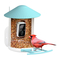 Manual del comedero Birdfy
