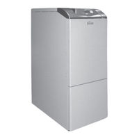 Ferroli PEGASUS D 45 K 130 Instrucciones De Uso, Instalación Y Mantenimiento