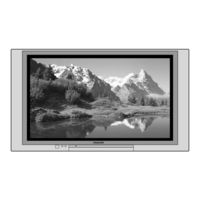 Panasonic TH-37PA20 Manual De Instrucciones