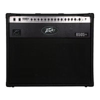 Peavey 6505 + 112 Combo Manual De Instrucciones