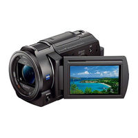 Sony HANDYCAM FDR-AX30 Manual De Instrucciones