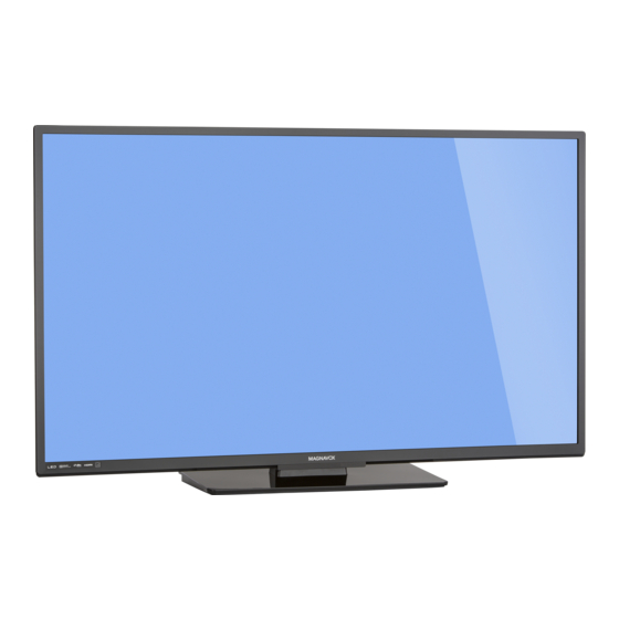Magnavox 55MV314X Manual Del Propietário