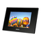 Sony S-Frame DPF-A73