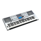 Sintetizadores Yamaha PORTATONE PSR-E403 Manual De Instrucciones