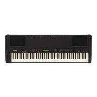 Yamaha P-250 Manual De Instrucciones