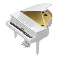 Roland GP609 Manual Del Usuario