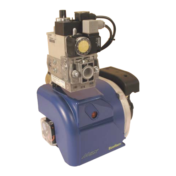 Ecoflam MAX GAS 70 P AB Manual Del Usuario