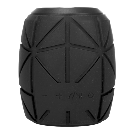 NGS ROLLER PINEAPPLE Manual Del Usuario