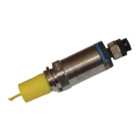 Endress+Hauser Cerabar PMP21 Manual De Instrucciones