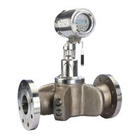 Baker Hughes Panametrics PanaFlow Z2G Manual Del Usuario