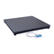 RADWAG WPT/4N 400 H1