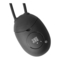 Nice IB