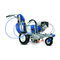 Equipos de Construccion Graco LineLazer IV 3900 Auto-Layout Manual De Funcionamiento