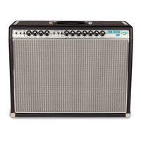 Fender TWIN REVERB-AMP Manual De Instrucciones