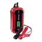 EINHELL CE-BC 5 M LiFePO4