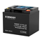Manual de la serie Core de Renogy, RBT1250LFP