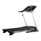 Cintas de Correr Gold's Gym Trainer 420 Manual Del Usuario
