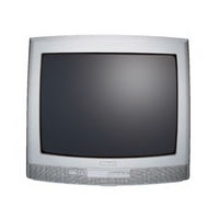 Philips 21PT5433 Manual Del Usuario