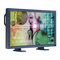 NEC LCD3000