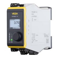 Vega VEGAMET 862 Información Sobre El Producto